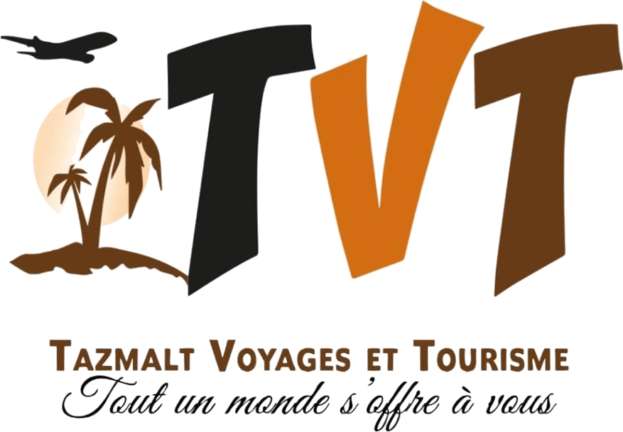 TVT Logo Officiel Sans Arrière-Plan